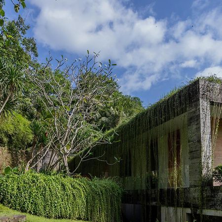 Chameleon Villa Bali Selemadeg Εξωτερικό φωτογραφία
